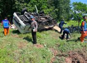 Ban Pecah di Tol Sergai, Pikap Isuzu Traga Terguling hingga Masuk Kebun Sawit, Tiga Orang Terluka
