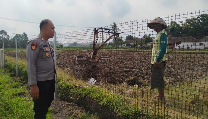 Pendampingan Berkelanjutan, Polsek Nglegok Blitar Dorong Produktivitas Petani Jagung