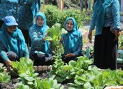 Monitoring Lomba HKG, Ketua TP PKK Asahan Himbau Warga Manfaatkan Perkarangan Rumah