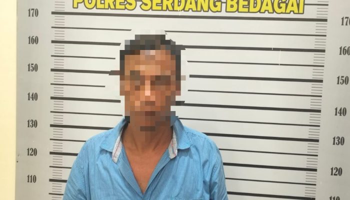 Satres Narkoba Polres Sergai Ringkus Pengedar Ganja di Sei Bamban, Sita 13 Paket Siap Edar