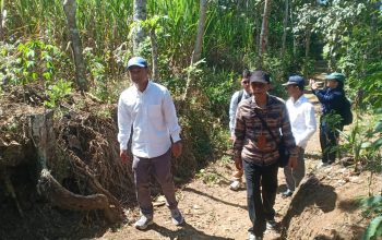 Kementan Audit Program Bongkar Ratoon Tebu di Blitar