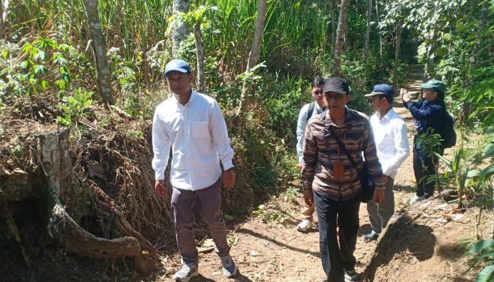 Kementan Audit Program Bongkar Ratoon Tebu di Blitar