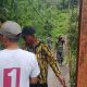 Jembatan yang Menghubungkan Harapan di Mbinalun
