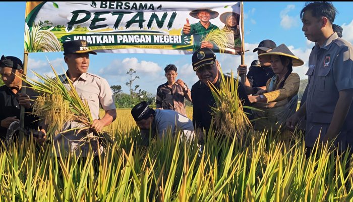 Ratusan Petani Tani Merdeka Tulungagung Gelar Slametan Wiwit, Deklarasikan Dukungan Don Muzakir Jadi Wamentan