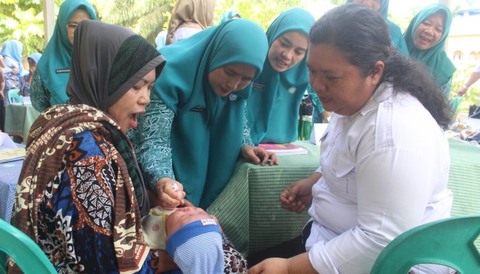 Ketua TP PKK Asahan Minta Posyandu Terapkan 6 SPM