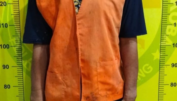Pengedar Sabu di Batang Kuis Dibekuk Satres Narkoba Polresta Deli Serdang, Sabu dan Timbangan Digital Disita