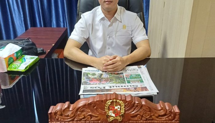 Polemik Penebangan Pohon untuk Proyek BRT Berlanjut, Rizki Lubis: DLH Medan Jangan Buang Badan