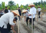 Dukung Program Ketahanan Pangan Lapas Kelas IIA Labuhan Ruku Laksanakan Penanaman Jagung