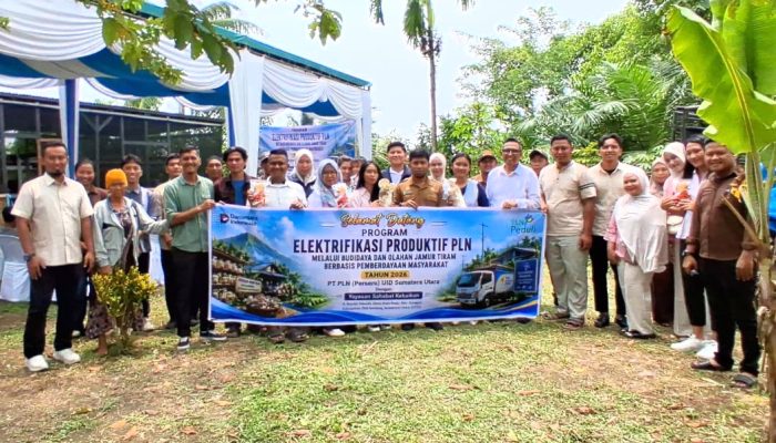 Permintaan Jamur Tiram Tinggi, PLN Dorong Warga Sei Mencirim Bangun Peluang Kerja di Desa