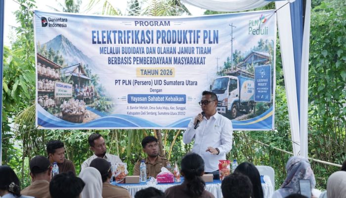 ‎Pasar Jamur Tiram Terbuka Lebar, Petani Sei Mencirim Akui Kewalahan Layani Order MBG
