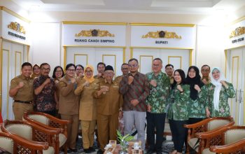 BPK Periksa Kinerja RSUD Ngudi Waluyo Wlingi, Fokus Pelayanan JKN