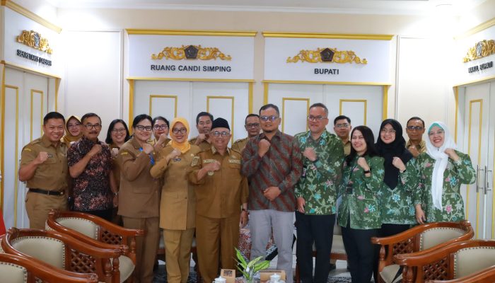 BPK Periksa Kinerja RSUD Ngudi Waluyo Wlingi, Fokus Pelayanan JKN