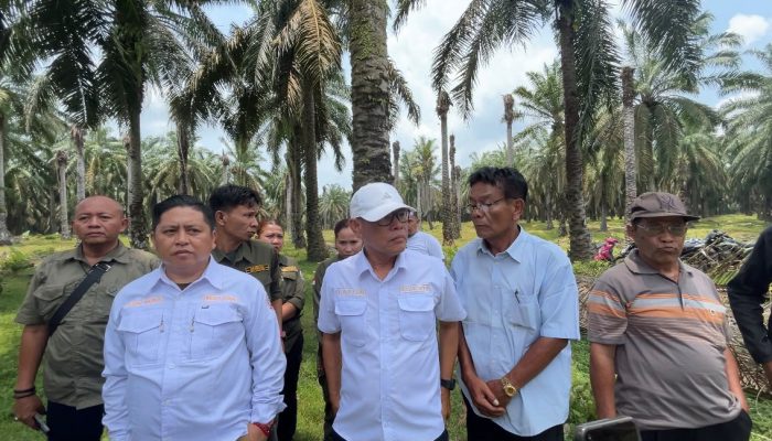 HMTN Merah Putih Terima Aspirasi Kelompok Tani, Persoalkan SHM di Dalam HGU PT Pulahan Seruwai