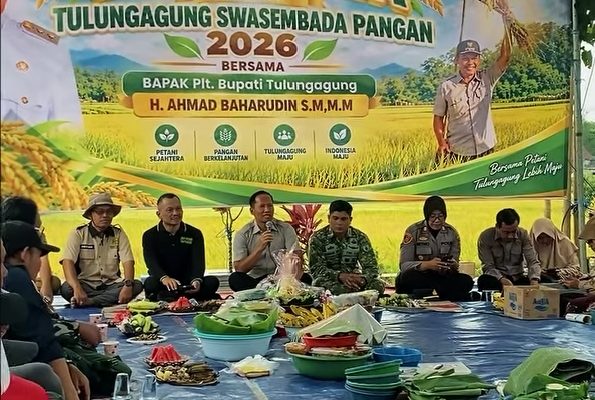 Hadiri Panen Raya di Boyolangu, Plt Bupati Ahmad Baharudin Dorong Tulungagung Makin Mandiri Pangan