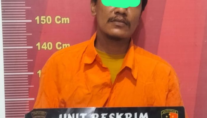 Modus Bantu Anak Sakit Turun dari Mobil, Jukir Sikat Tas IRT