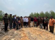 HMTN-MP Temukan Dugaan Tumpang Tindih Lahan Eukaliptus RAPP di Kampar, Asril Naska dan Budi Ilham Desak Pemerintah Turun Tangan