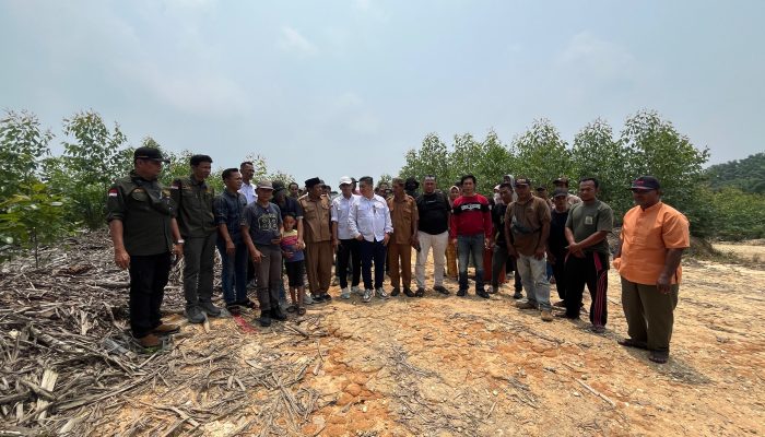 HMTN-MP Temukan Dugaan Tumpang Tindih Lahan Eukaliptus RAPP di Kampar, Asril Naska dan Budi Ilham Desak Pemerintah Turun Tangan