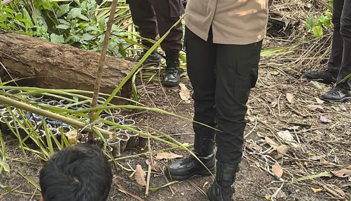 Kapolres Sergai Pimpin Grebek Sarang Narkoba di Pantai Cermin Kiri, Seorang Pria Diamankan