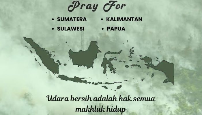 Formatur HMI MPO Medan Desak Pemerintah Serius Tangani Karhutla